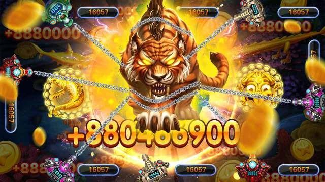 soxo9988